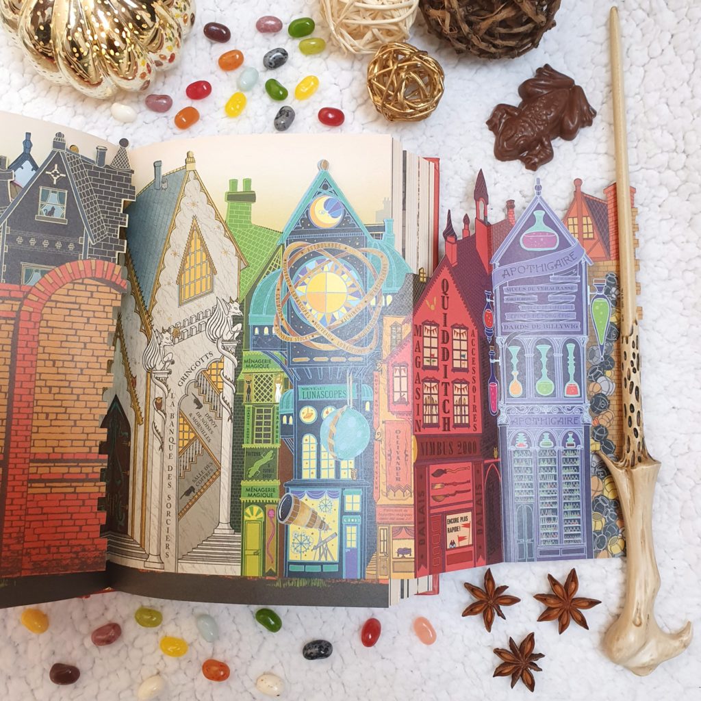 Harry Potter à l'école des sorciers la sublime édition collector