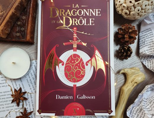 "La dragonne et le drôle" de Damien Galisson aux éditions Sarbacane
